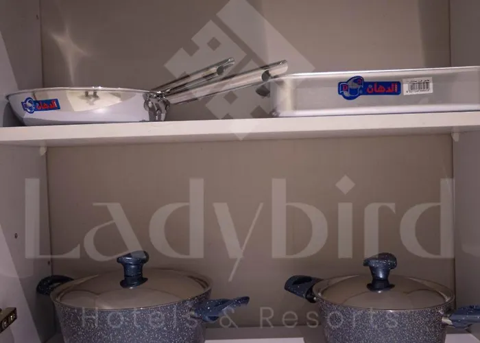 Ladybird - Veranda Skyline Hurghada